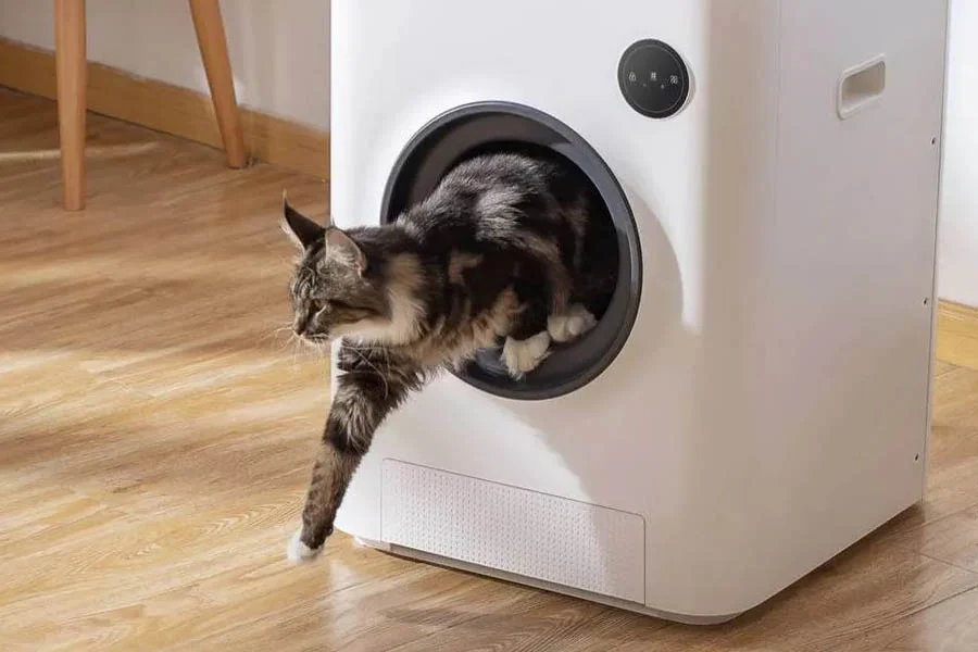 automatic cat box reviews